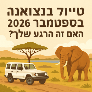 Illustrative image for a support article about 'טיול בוצואנה בספטמבר 2026: האם זה הרגע שלך?' in the טיולים field.